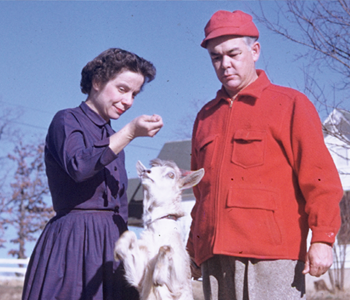 Two people training a goat to stand on its hind legs